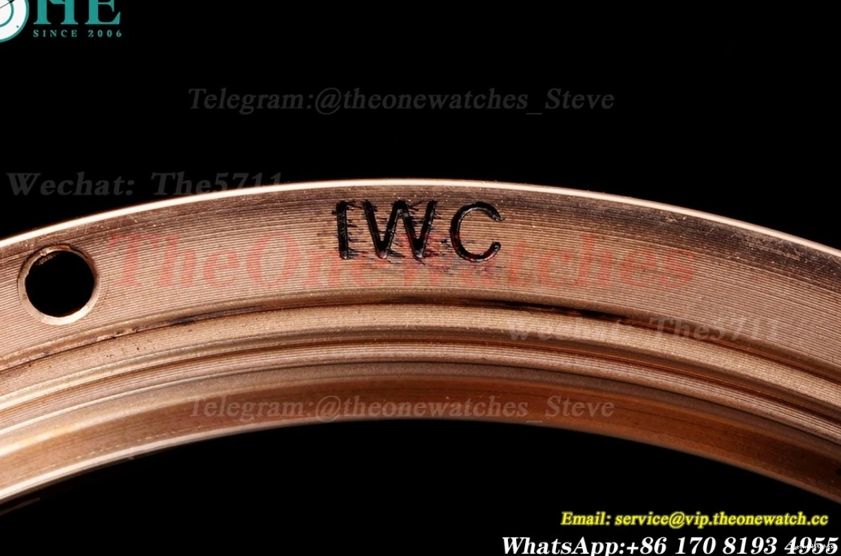 RG Dial Calendar Perpetual LE Portugieser 5033 42mm White APSF A52010 0125